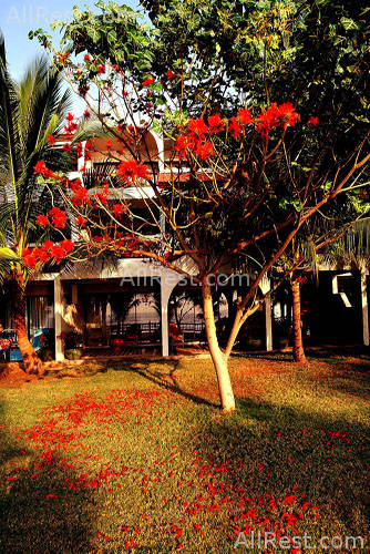 The Regent Cha-Am Beach Resort 42